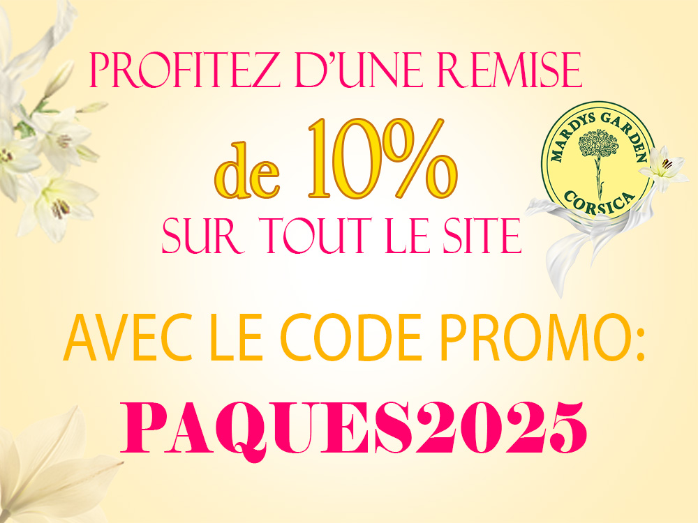 Emballage cadeau de nos produits